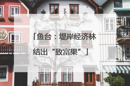 鱼台：堤岸经济林结出“致富果”