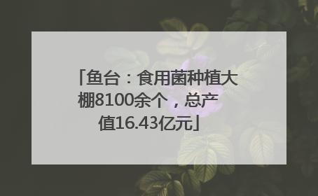 鱼台：食用菌种植大棚8100余个，总产值16.43亿元
