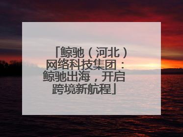 鲸驰（河北）网络科技集团：鲸驰出海，开启跨境新航程