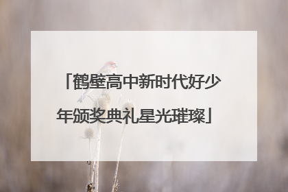 鹤壁高中新时代好少年颁奖典礼星光璀璨