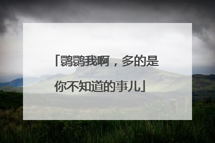 鹮鹮我啊，多的是你不知道的事儿