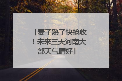 麦子熟了快抢收！未来三天河南大部天气晴好