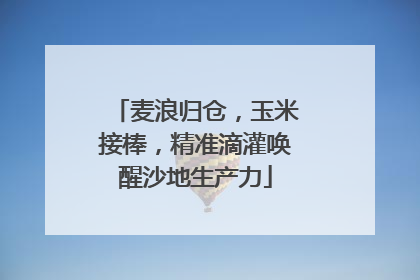 麦浪归仓，玉米接棒，精准滴灌唤醒沙地生产力
