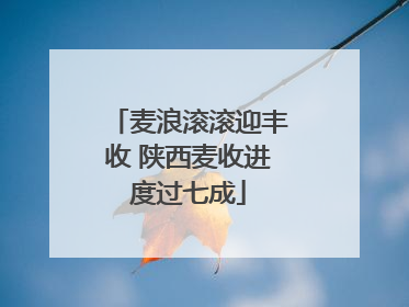 麦浪滚滚迎丰收 陕西麦收进度过七成