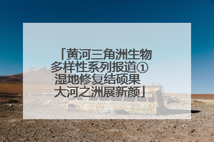 黄河三角洲生物多样性系列报道①湿地修复结硕果 大河之洲展新颜