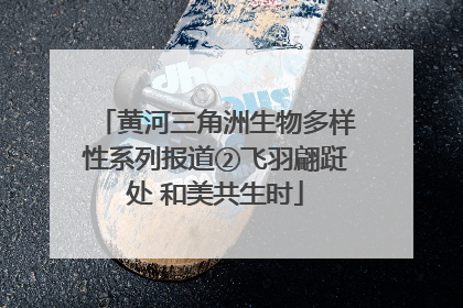 黄河三角洲生物多样性系列报道②飞羽翩跹处 和美共生时