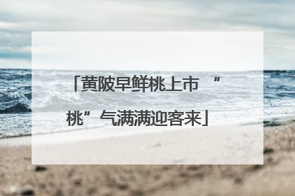 黄陂早鲜桃上市 “桃”气满满迎客来