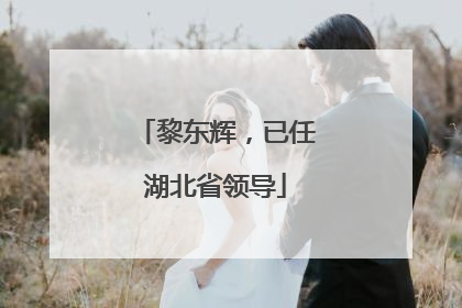 黎东辉，已任湖北省领导