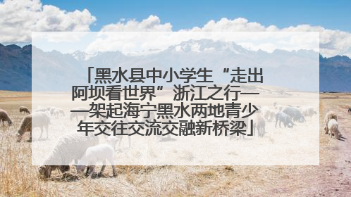黑水县中小学生“走出阿坝看世界”浙江之行——架起海宁黑水两地青少年交往交流交融新桥梁