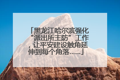 黑龙江哈尔滨强化“派出所主防”工作，让平安建设触角延伸到每个角落……