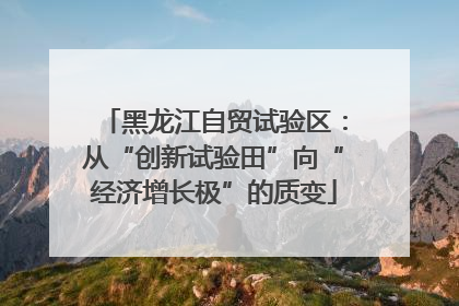 黑龙江自贸试验区：从“创新试验田”向“经济增长极”的质变