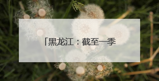 黑龙江：截至一季度企业发明专利有效量为1.8万件 同比增长10.6%