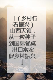 （乡村行·看振兴）山西天镇：从一粒种子到国际餐桌 出口富农促乡村振兴