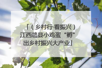 （乡村行·看振兴）江西赣县小鸡蛋“孵”出乡村振兴大产业