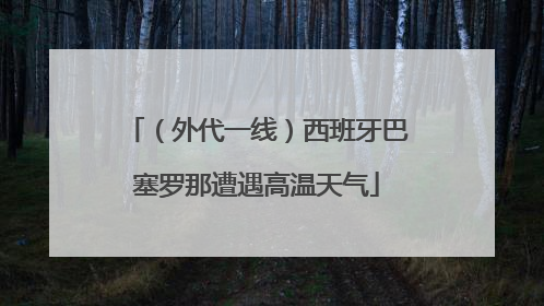 （外代一线）西班牙巴塞罗那遭遇高温天气