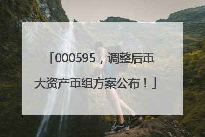 000595，调整后重大资产重组方案公布！