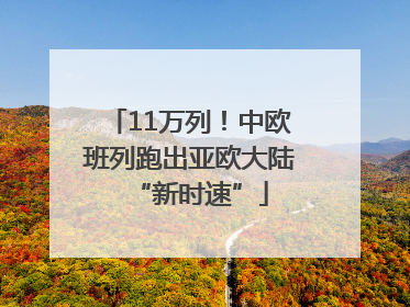 11万列！中欧班列跑出亚欧大陆“新时速”