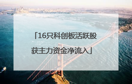 16只科创板活跃股获主力资金净流入
