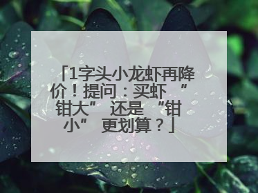 1字头小龙虾再降价！提问：买虾 “钳大” 还是 “钳小” 更划算？