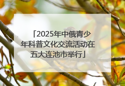 2025年中俄青少年科普文化交流活动在五大连池市举行