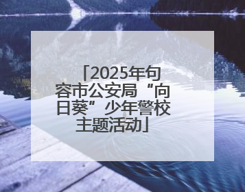 2025年句容市公安局“向日葵”少年警校主题活动