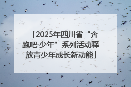 2025年四川省“奔跑吧·少年”系列活动释放青少年成长新动能