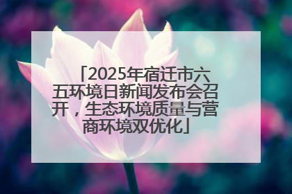 2025年宿迁市六五环境日新闻发布会召开，生态环境质量与营商环境双优化