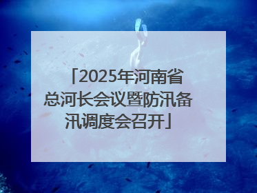2025年河南省总河长会议暨防汛备汛调度会召开