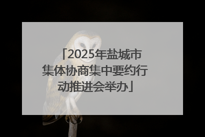2025年盐城市集体协商集中要约行动推进会举办