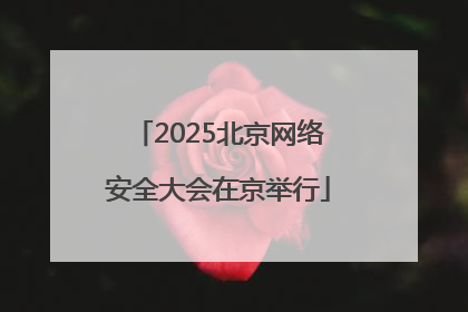 2025北京网络安全大会在京举行