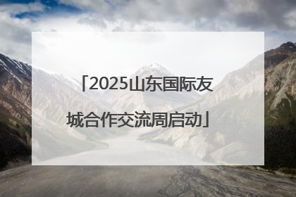 2025山东国际友城合作交流周启动