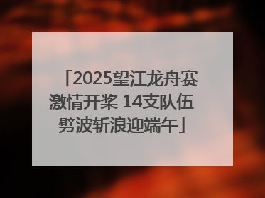 2025望江龙舟赛激情开桨 14支队伍劈波斩浪迎端午