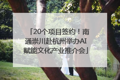 20个项目签约！南通崇川赴杭州举办AI赋能文化产业推介会