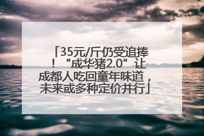 35元/斤仍受追捧！“成华猪2.0”让成都人吃回童年味道，未来或多种定价并行