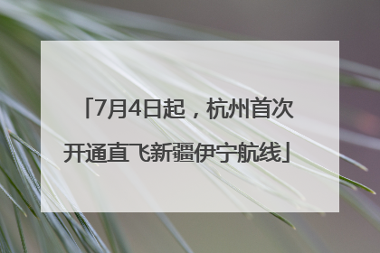 7月4日起，杭州首次开通直飞新疆伊宁航线