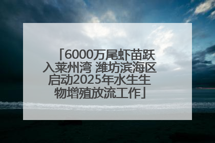 6000万尾虾苗跃入莱州湾 潍坊滨海区启动2025年水生生物增殖放流工作