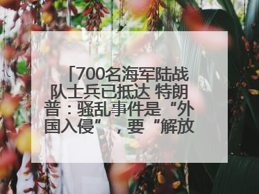 700名海军陆战队士兵已抵达 特朗普：骚乱事件是“外国入侵”，要“解放洛杉矶”