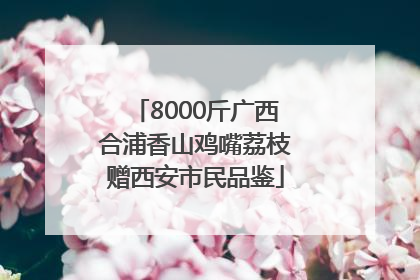 8000斤广西合浦香山鸡嘴荔枝赠西安市民品鉴