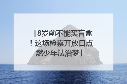 8岁前不能买盲盒！这场检察开放日点燃少年法治梦