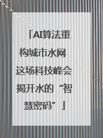 AI算法重构城市水网 这场科技峰会揭开水的“智慧密码”