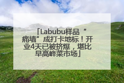 Labubu样品“痛墙”成打卡地标！开业4天已被挤爆，堪比早高峰菜市场