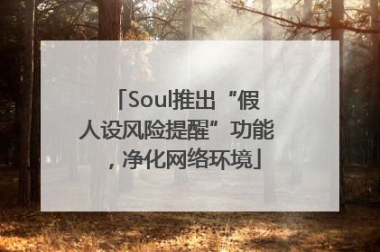 Soul推出“假人设风险提醒”功能，净化网络环境